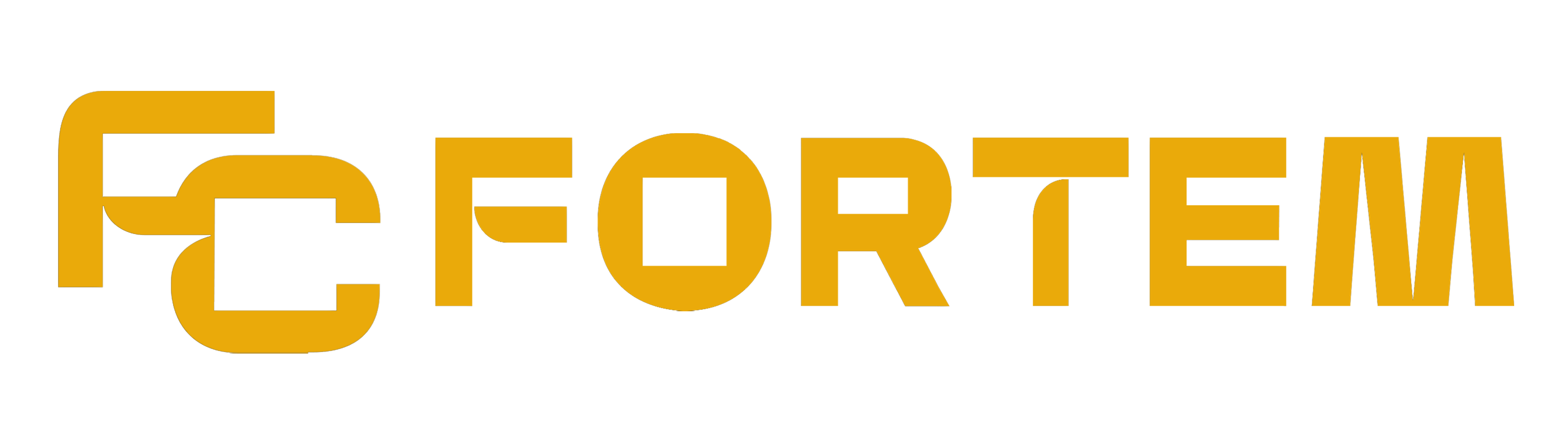FC Fortem Logo